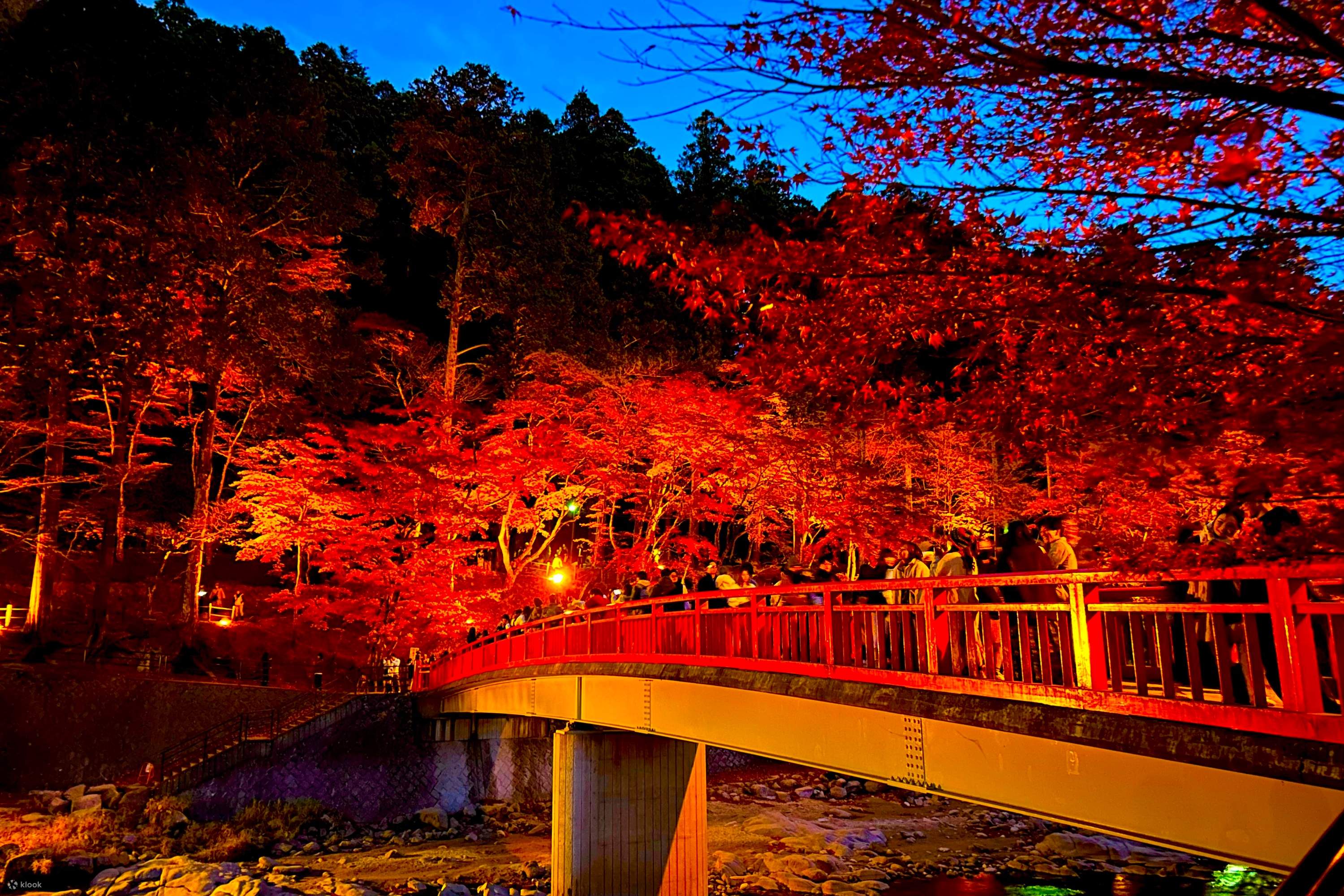 恵峰寺、香嵐渓、四季桜 紅葉観賞 日帰りツアー | Klook